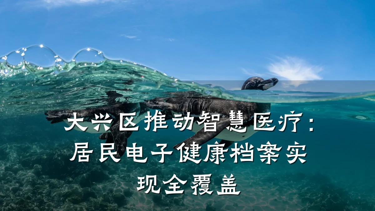 大兴区推动智慧医疗:居民电子健康档案实现全覆盖