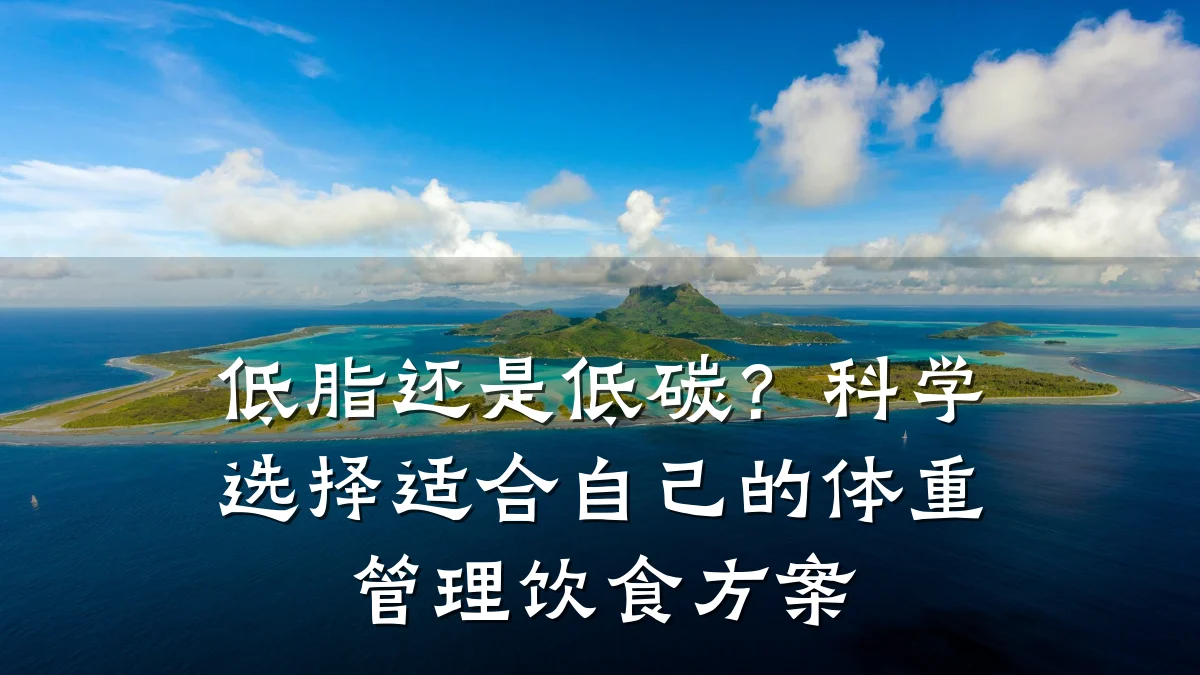 低脂还是低碳?科学选择适合自己的体重管理饮食方案