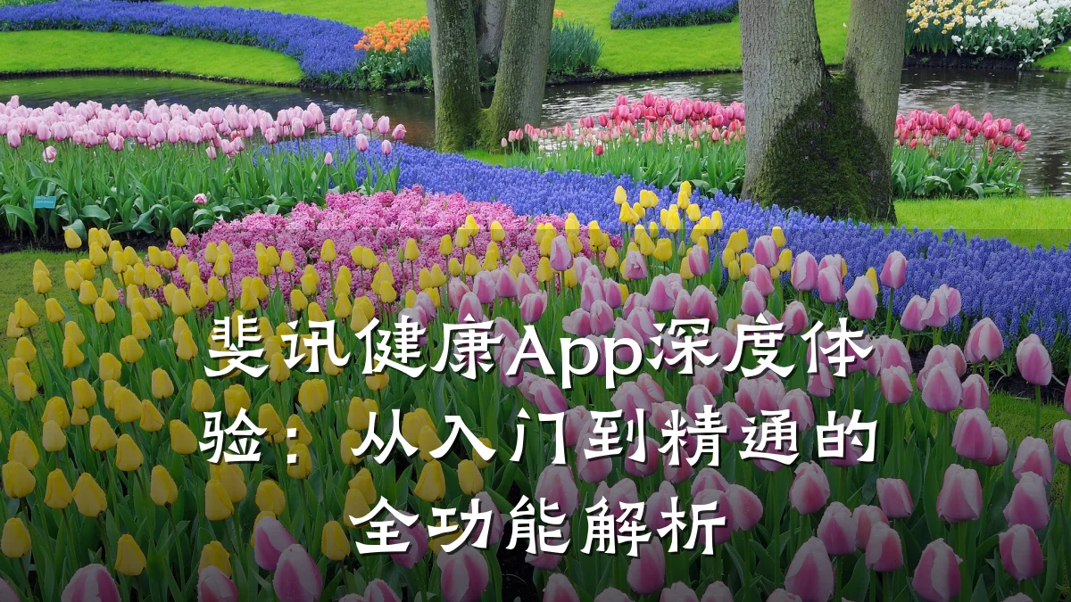 斐讯健康App深度体验:从入门到精通的全功能解析