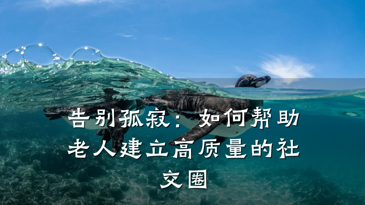 告别孤寂:如何帮助老人建立高质量的社交圈