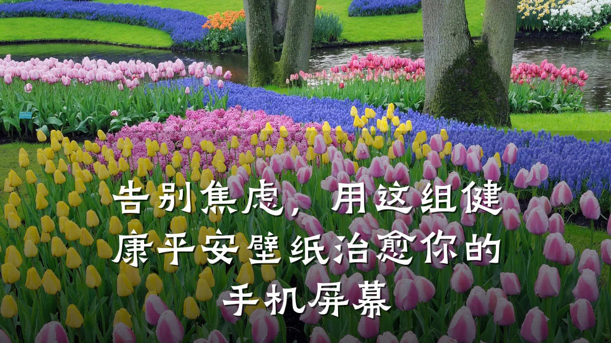 告别焦虑,用这组健康平安壁纸治愈你的手机屏幕
