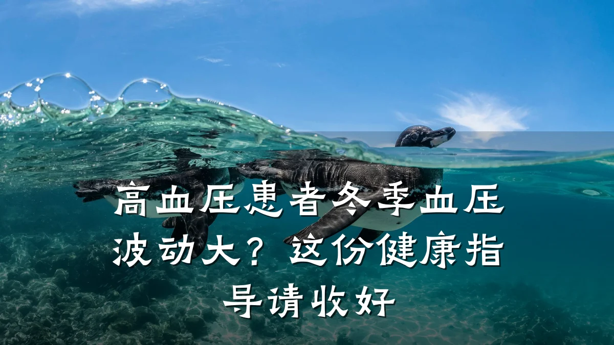 高血压患者冬季血压波动大?这份健康指导请收好