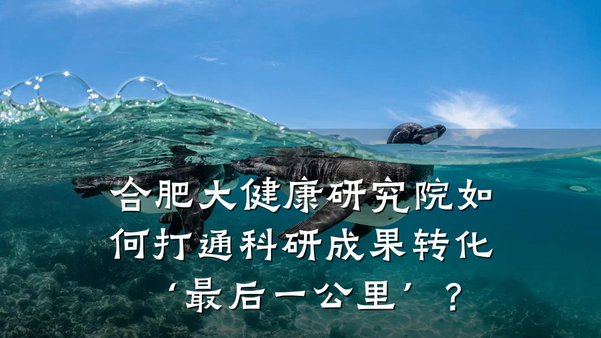 合肥大健康研究院如何打通科研成果转化‘最后一公里’?