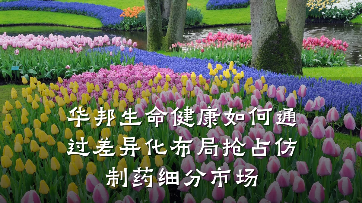 华邦生命健康如何通过差异化布局抢占仿制药细分市场