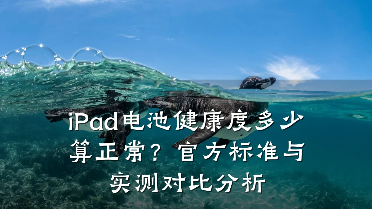 iPad电池健康度多少算正常?官方标准与实测对比分析