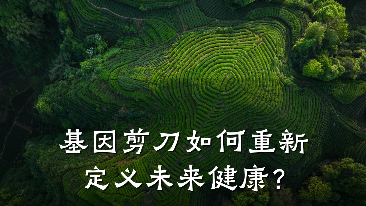 基因剪刀如何重新定义未来健康?