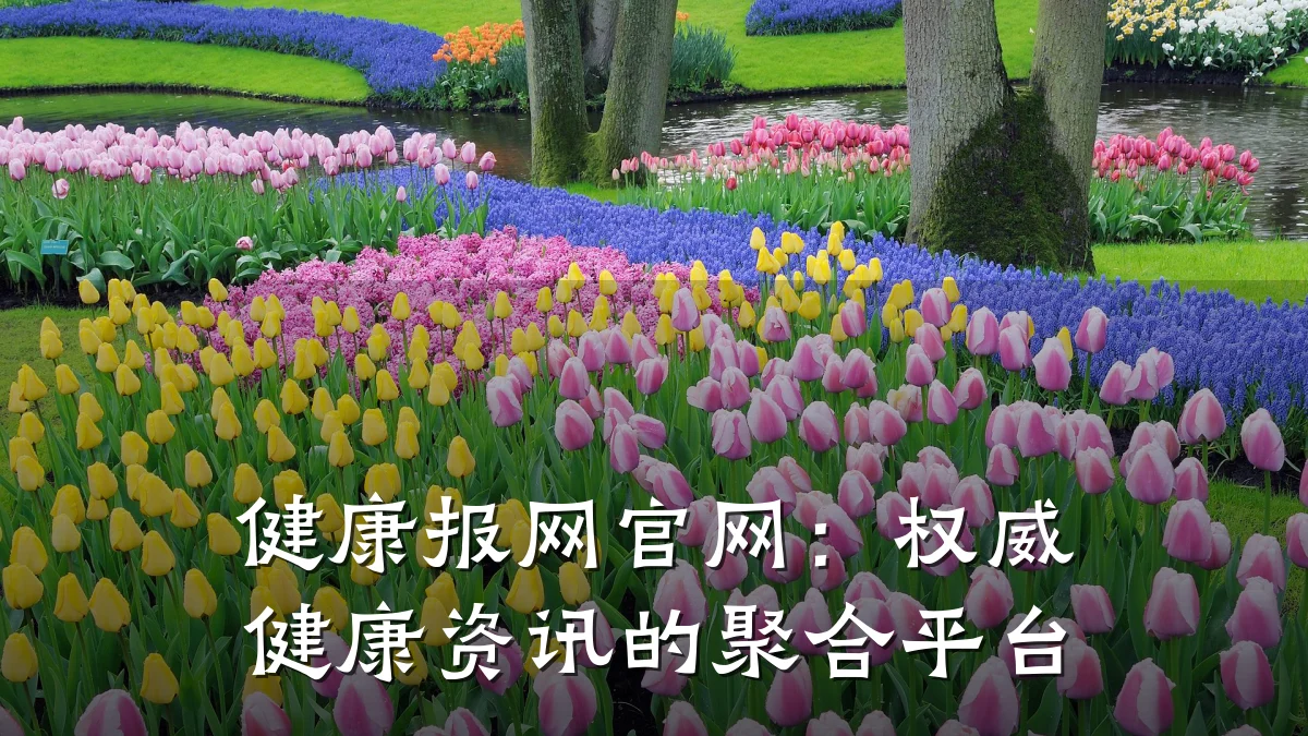 健康报网官网:权威健康资讯的聚合平台