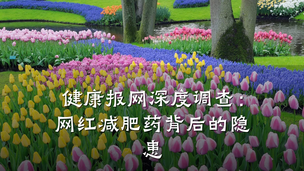 健康报网深度调查:网红减肥药背后的隐患
