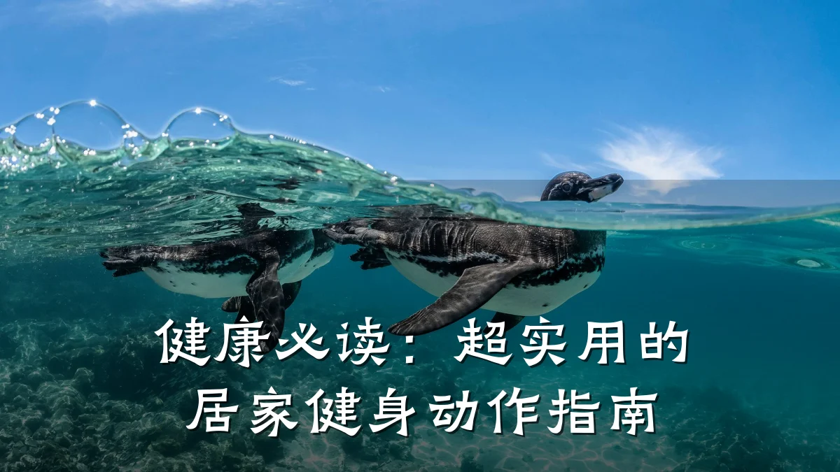 健康必读:超实用的居家健身动作指南