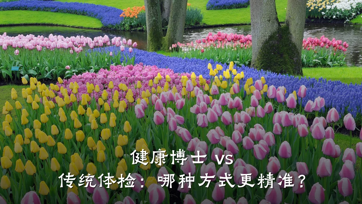 健康博士 vs 传统体检:哪种方式更精准?