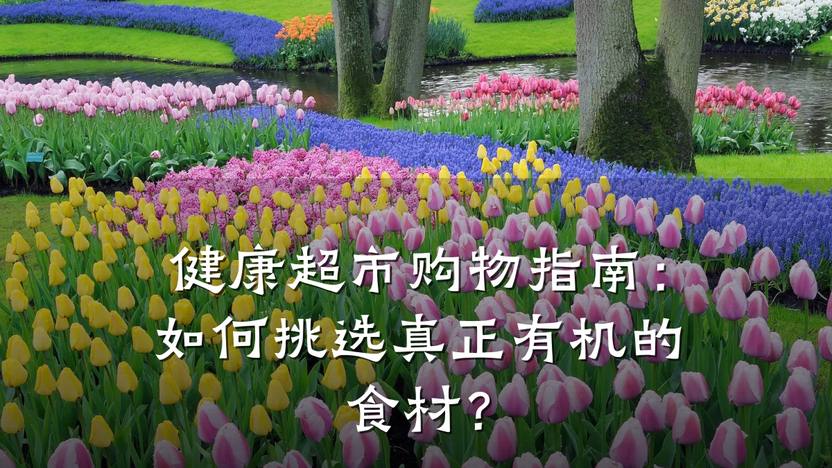 健康超市购物指南:如何挑选真正有机的食材?
