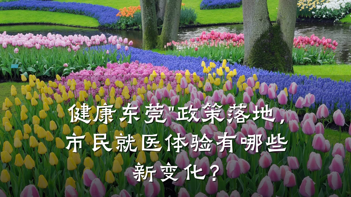 健康东莞"政策落地,市民就医体验有哪些新变化?