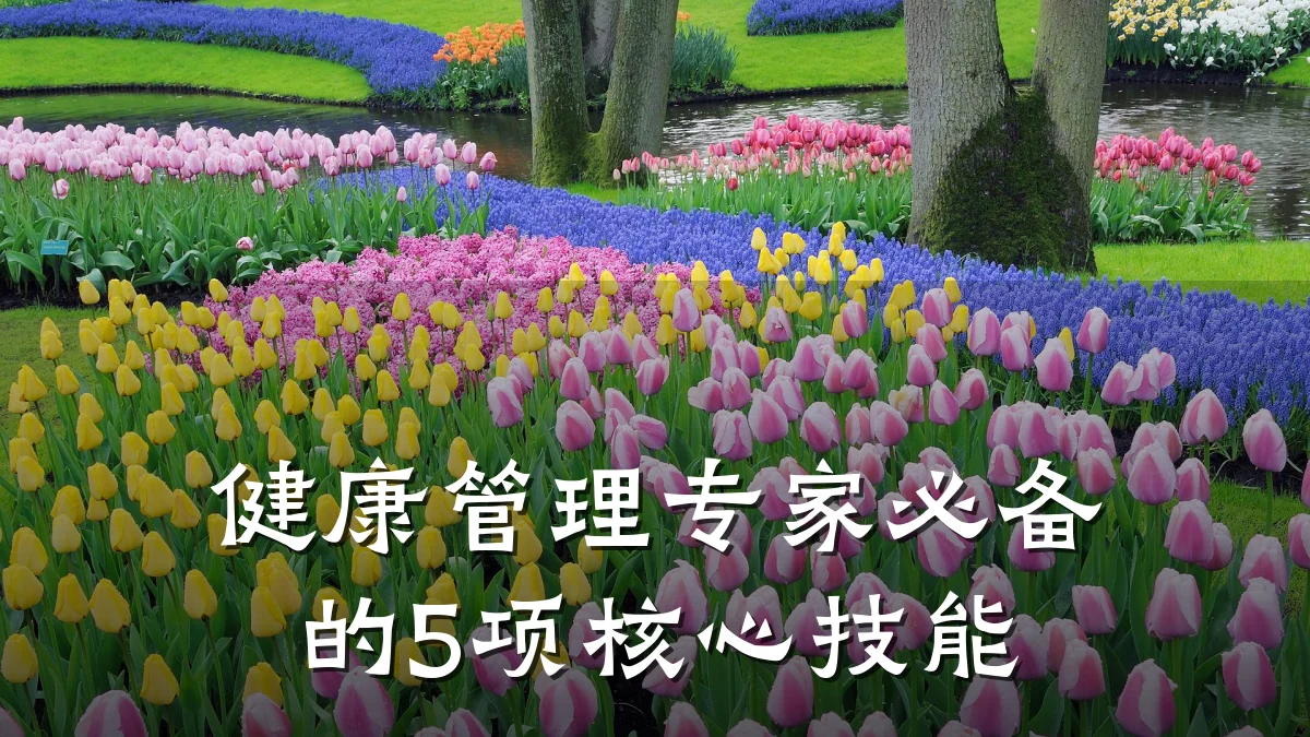 健康管理专家必备的5项核心技能