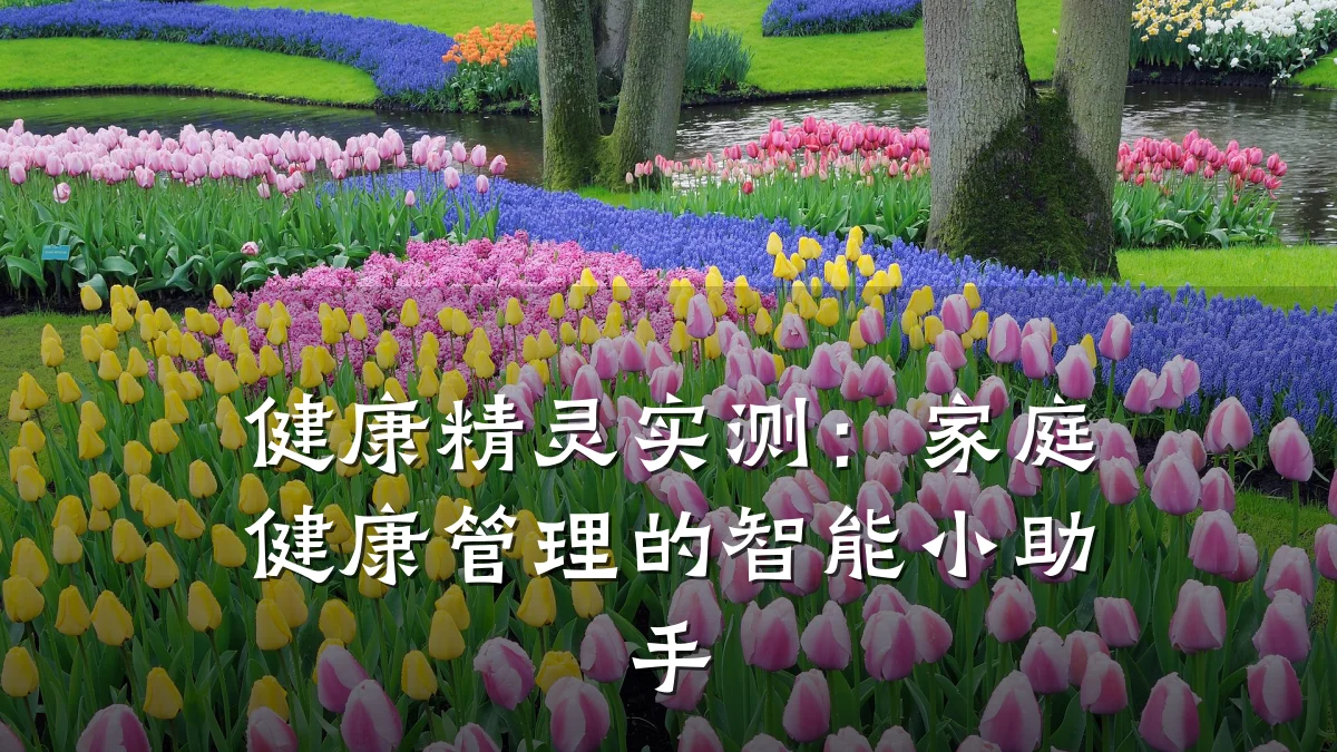 健康精灵实测:家庭健康管理的智能小助手