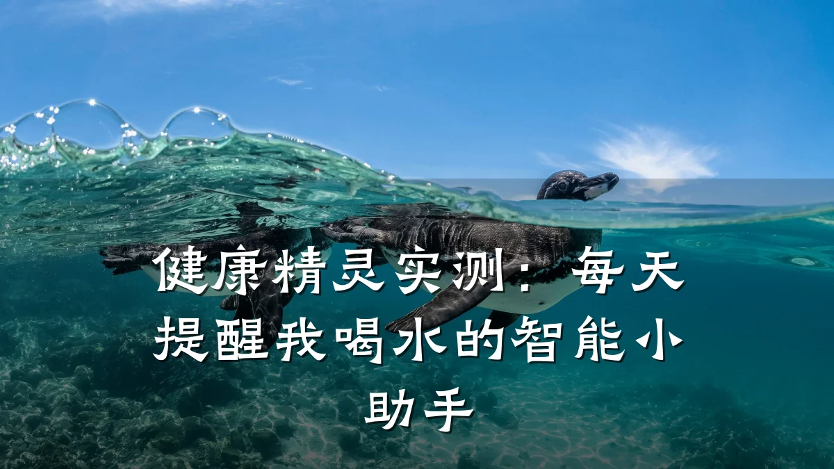 健康精灵实测:每天提醒我喝水的智能小助手