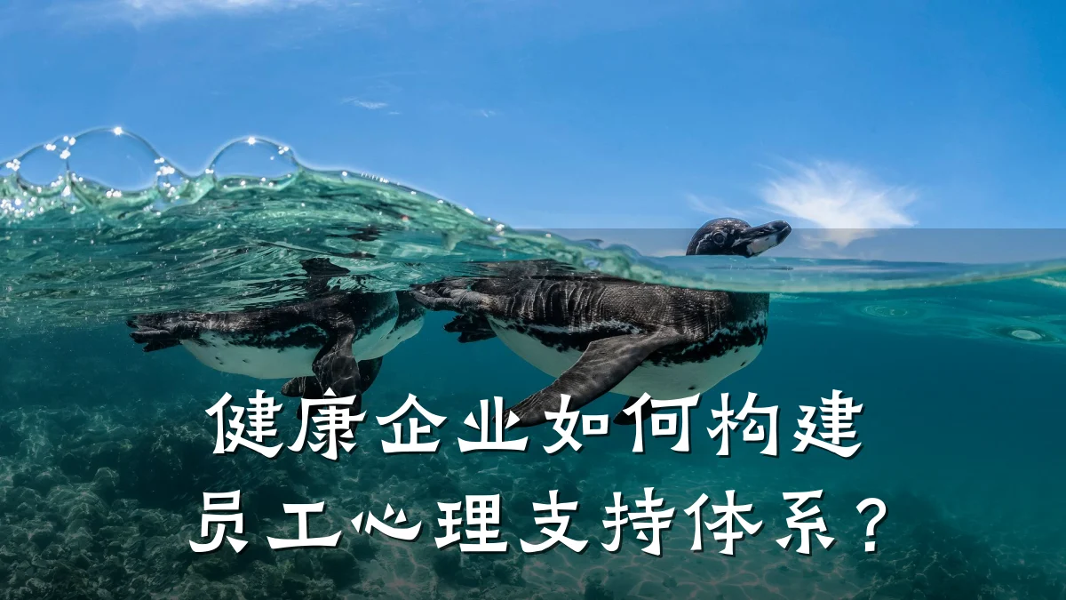 健康企业如何构建员工心理支持体系?