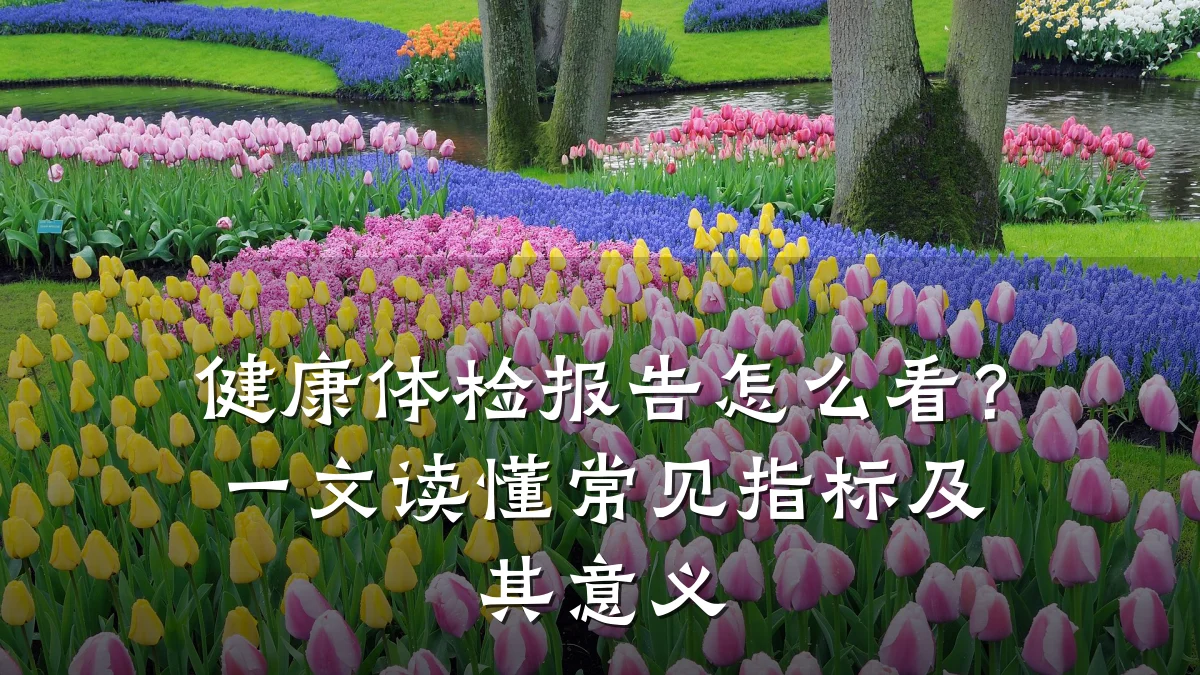 健康体检报告怎么看?一文读懂常见指标及其意义