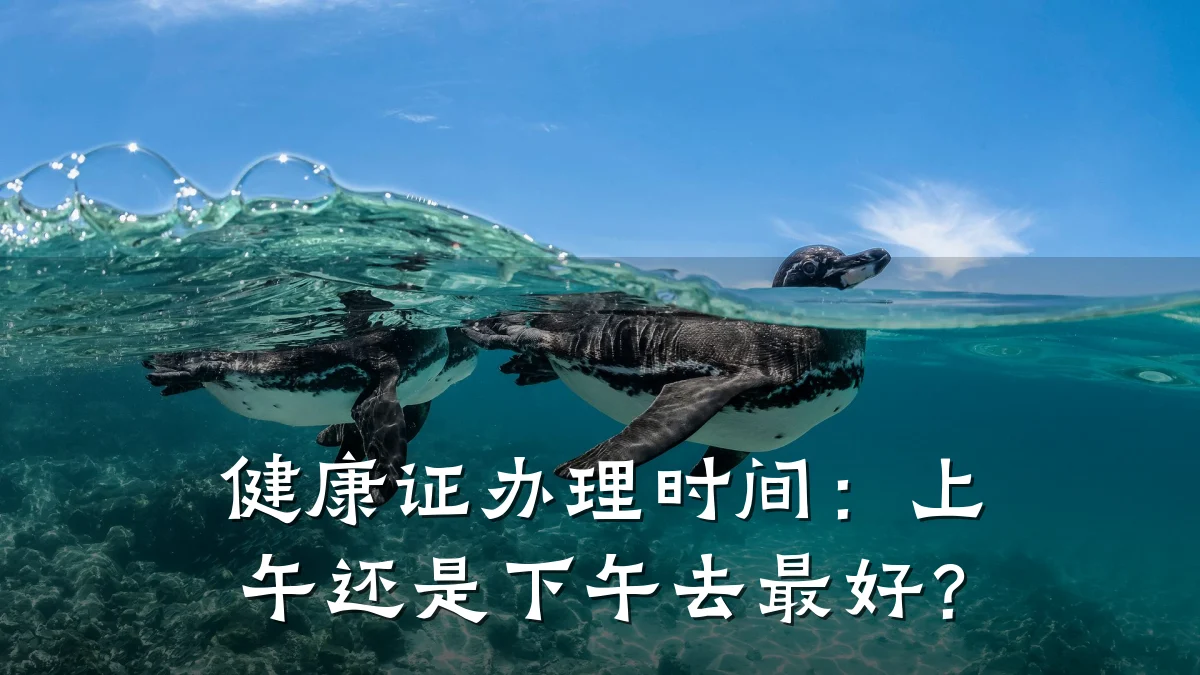 健康证办理时间:上午还是下午去最好?