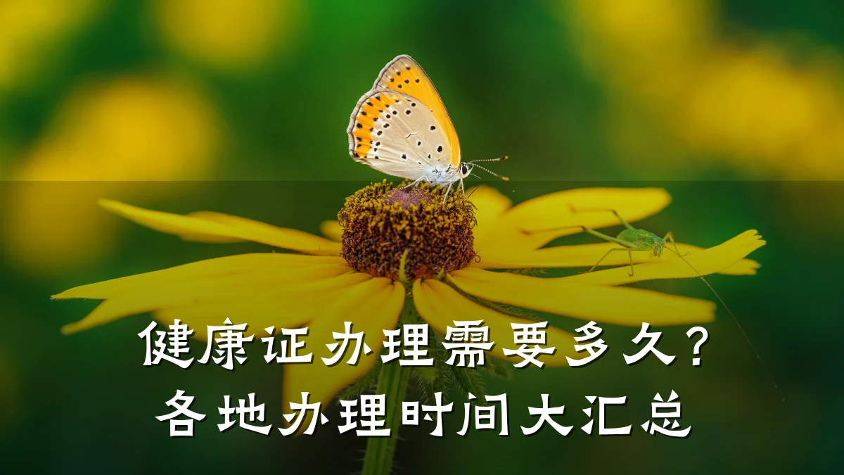 健康证办理需要多久?各地办理时间大汇总