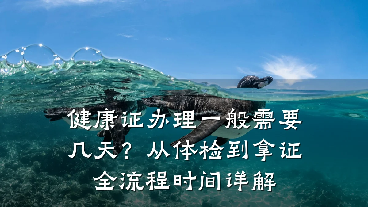 健康证办理一般需要几天?从体检到拿证全流程时间详解