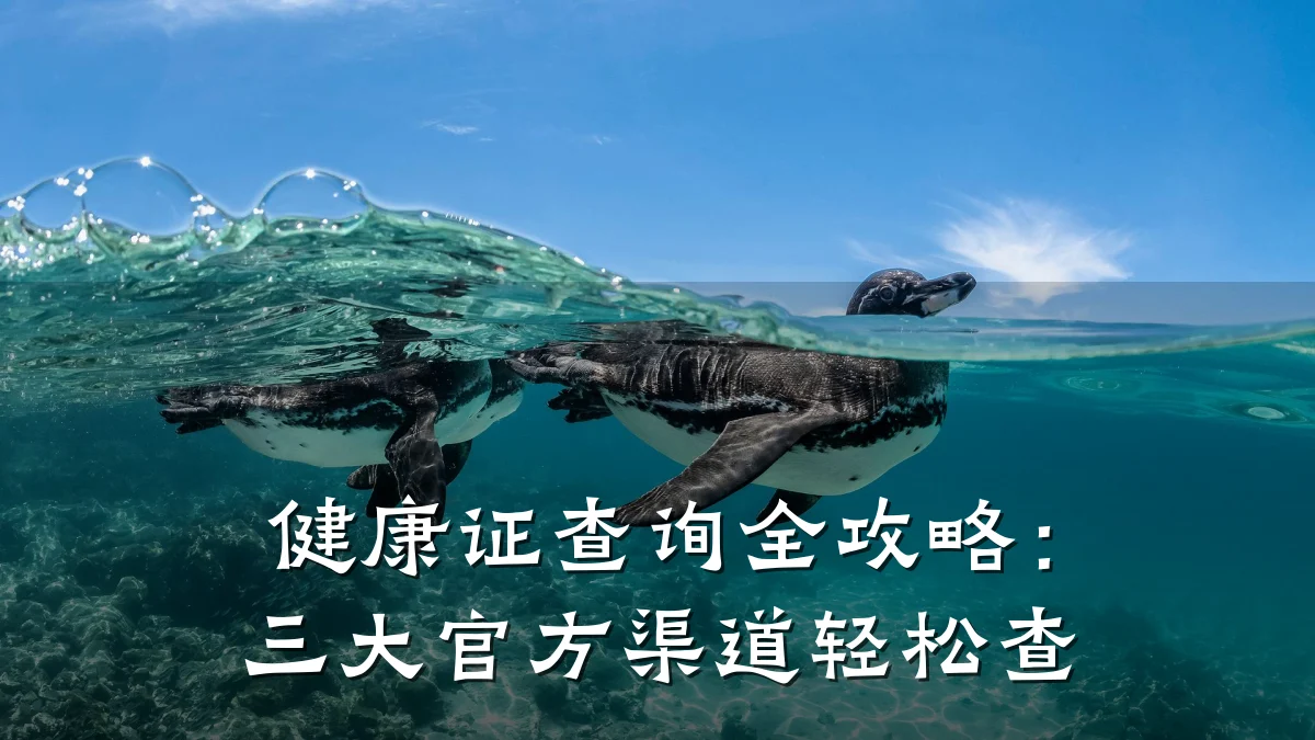 健康证查询全攻略:三大官方渠道轻松查