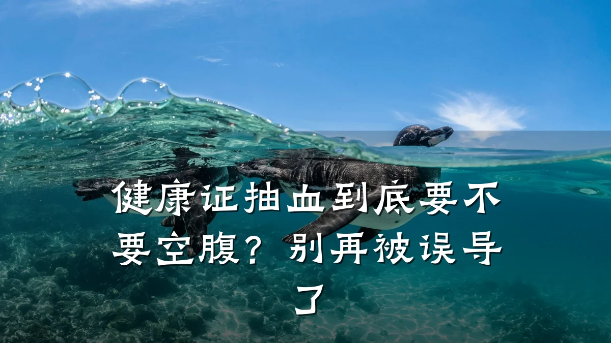 健康证抽血到底要不要空腹?别再被误导了