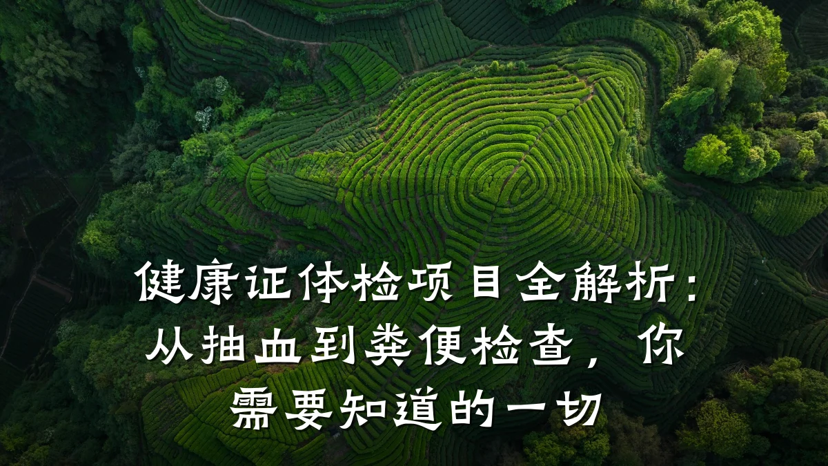 健康证体检项目全解析:从抽血到粪便检查,你需要知道的一切