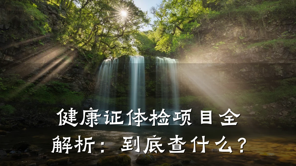 健康证体检项目全解析:到底查什么?