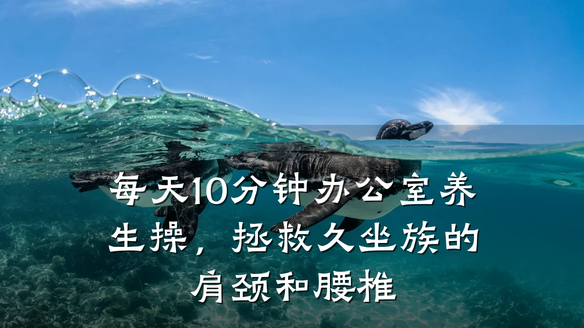 每天10分钟办公室养生操,拯救久坐族的肩颈和腰椎
