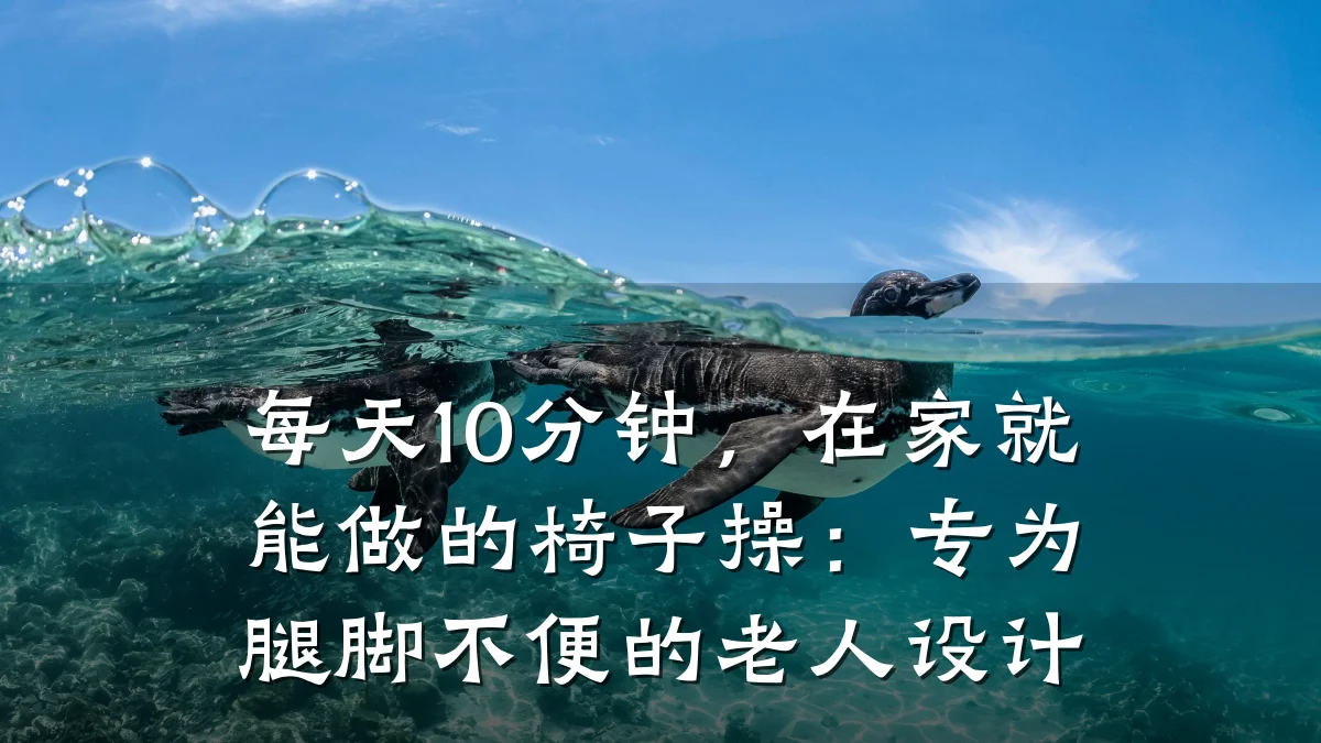 每天10分钟,在家就能做的椅子操:专为腿脚不便的老人设计