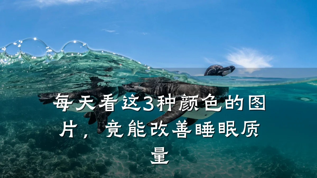 每天看这3种颜色的图片,竟能改善睡眠质量