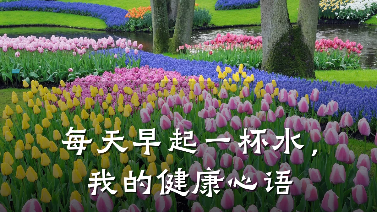 每天早起一杯水,我的健康心语
