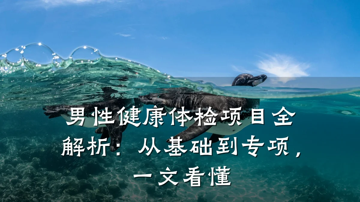 男性健康体检项目全解析:从基础到专项,一文看懂