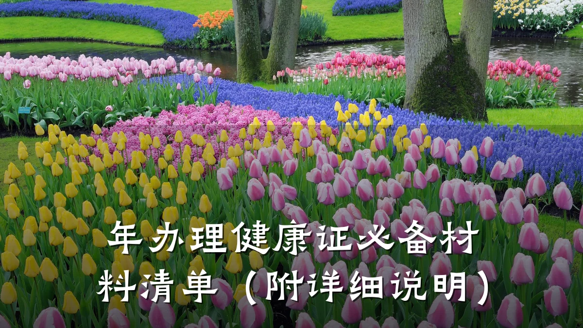 年办理健康证必备材料清单(附详细说明)