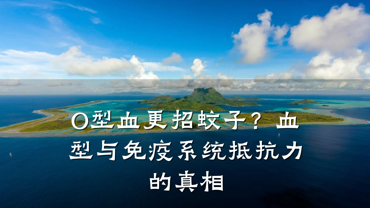 O型血更招蚊子?血型与免疫系统抵抗力的真相