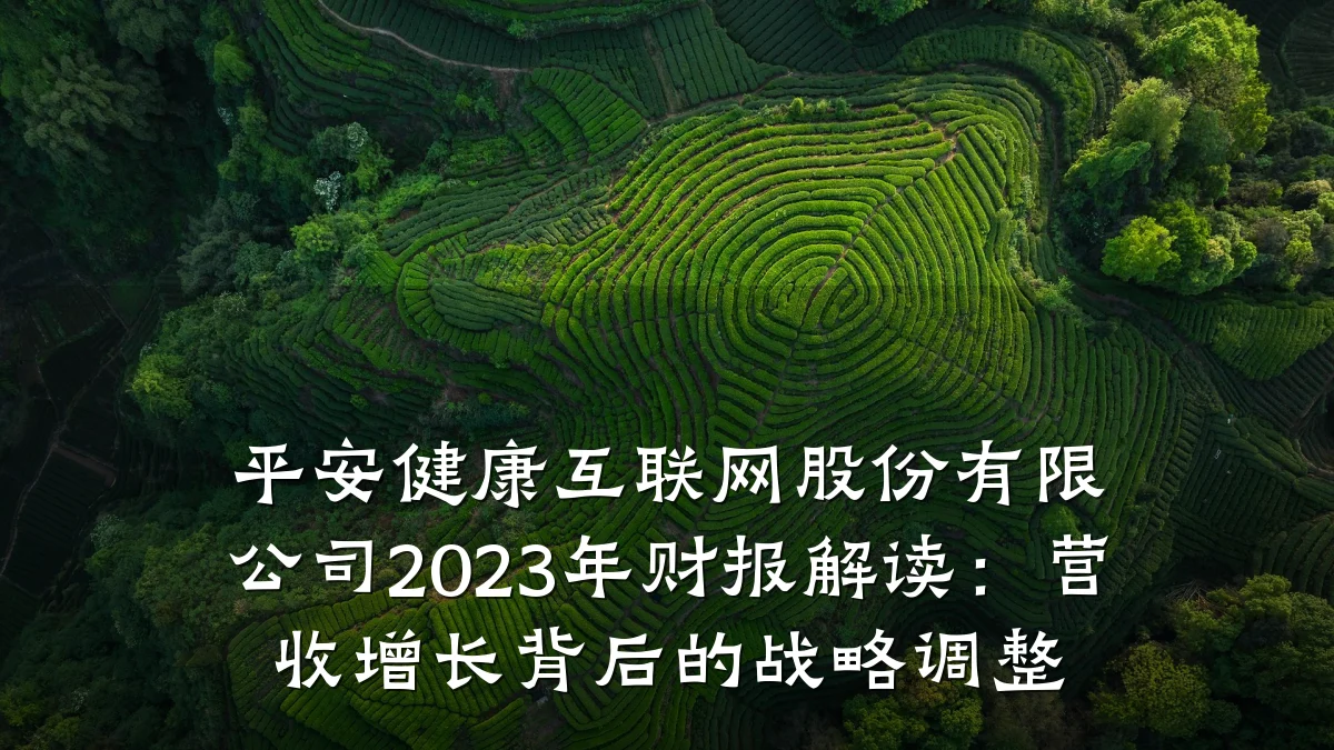 平安健康互联网股份有限公司2023年财报解读：营收增长背后的战略调整
