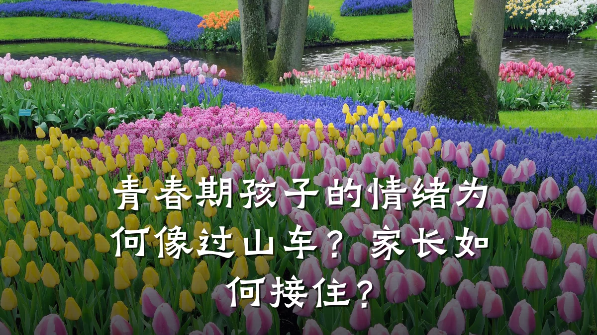 青春期孩子的情绪为何像过山车?家长如何接住?