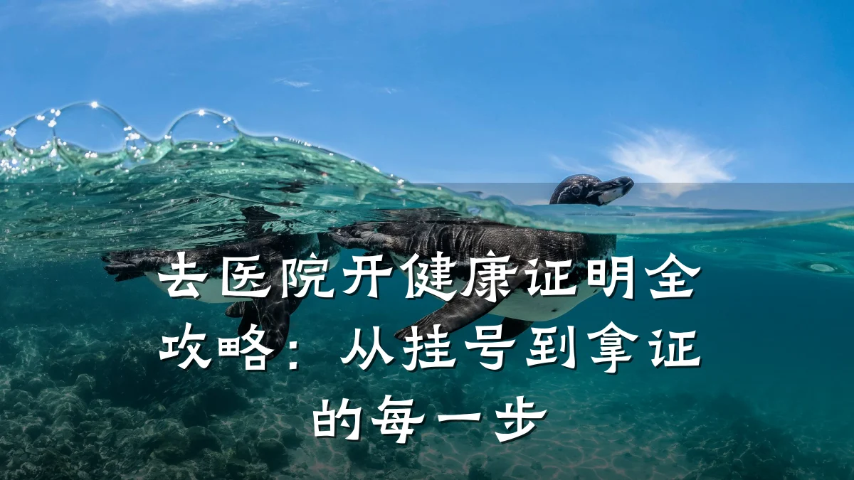 去医院开健康证明全攻略:从挂号到拿证的每一步