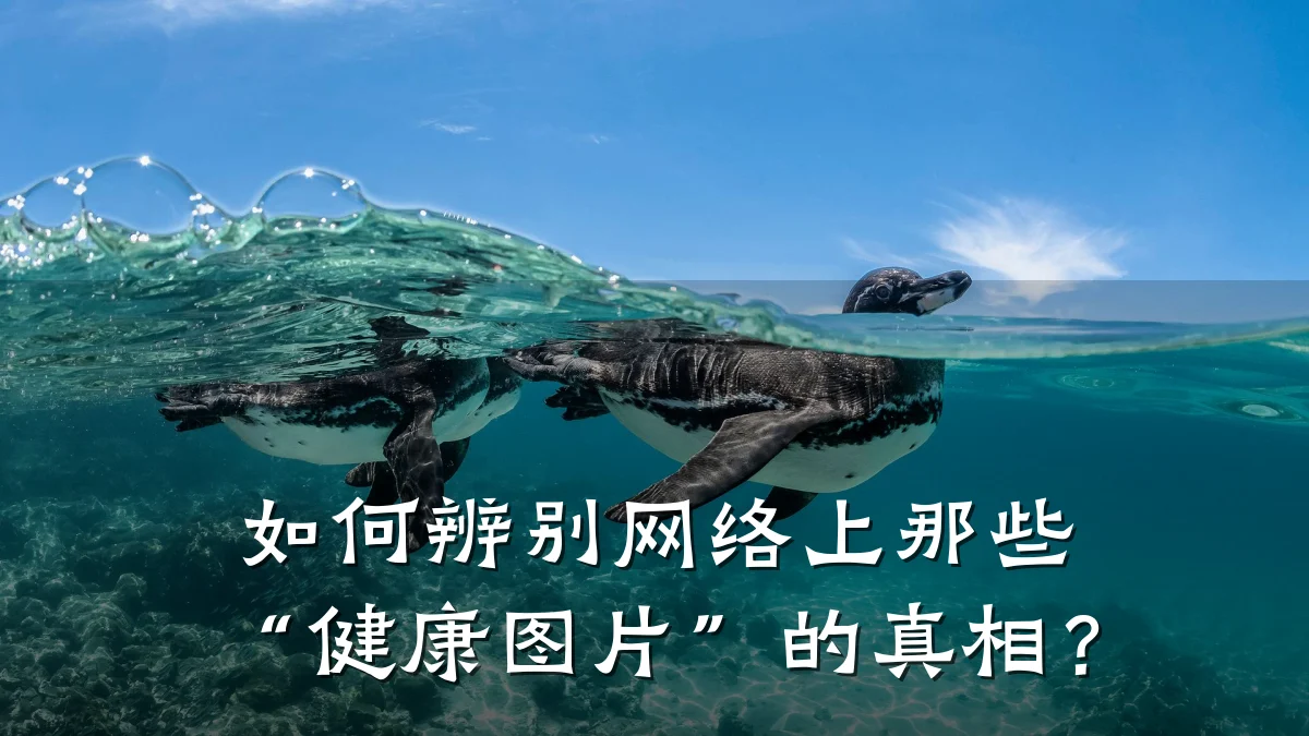 如何辨别网络上那些“健康图片”的真相?