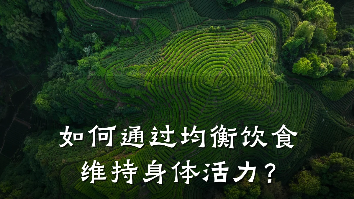 如何通过均衡饮食维持身体活力?