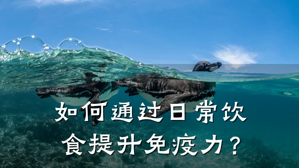 如何通过日常饮食提升免疫力?