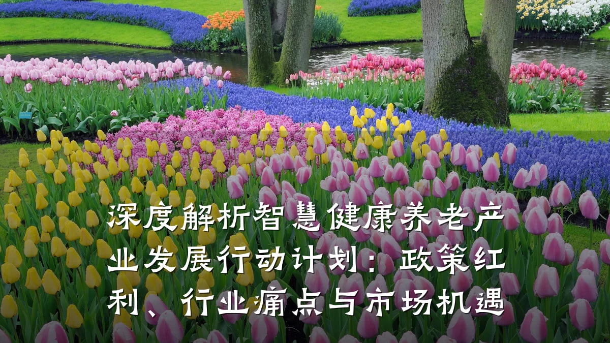 深度解析智慧健康养老产业发展行动计划：政策红利、行业痛点与市场机遇