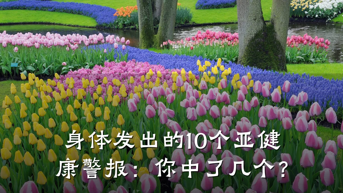 身体发出的10个亚健康警报:你中了几个?