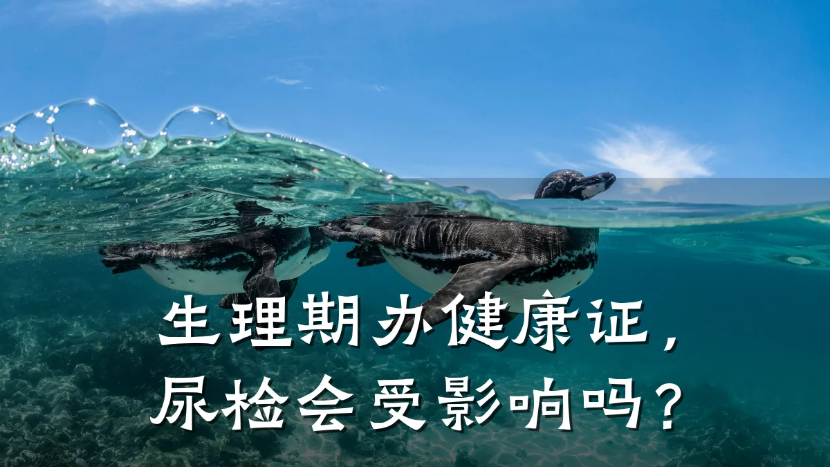 生理期办健康证,尿检会受影响吗?