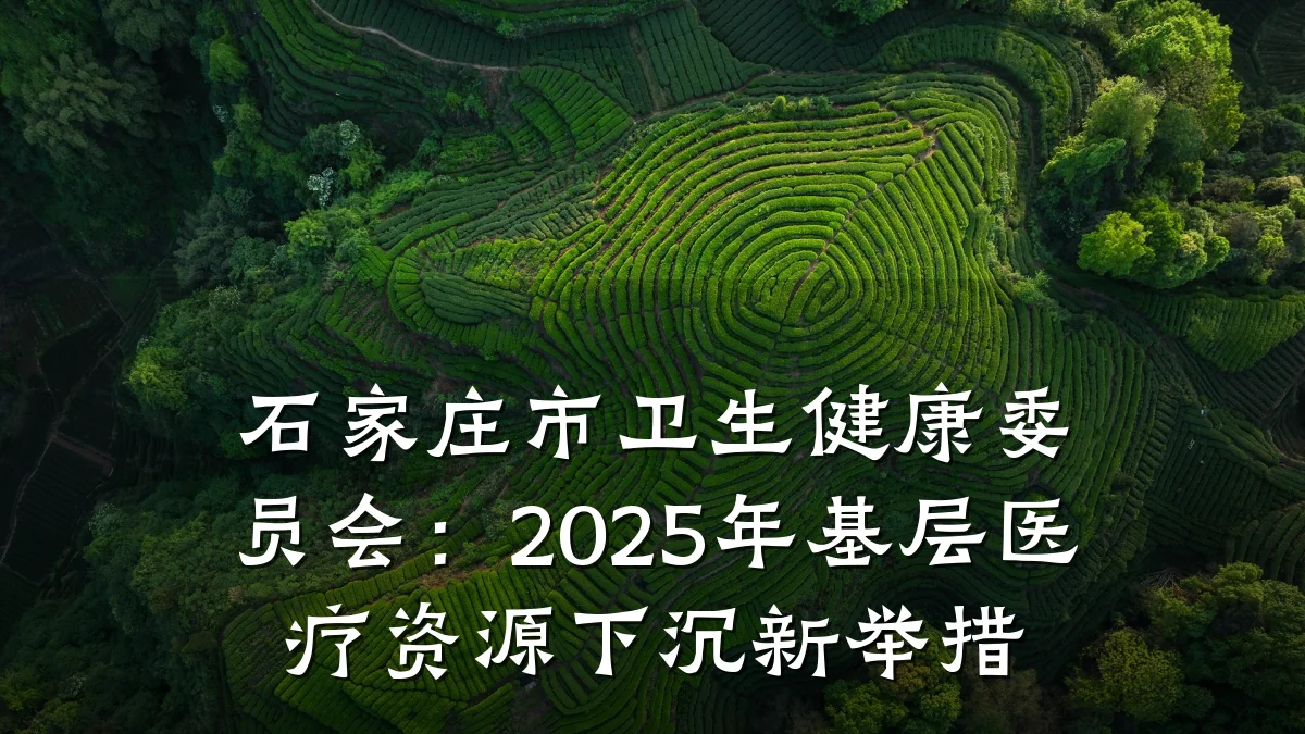 石家庄市卫生健康委员会:2025年基层医疗资源下沉新举措