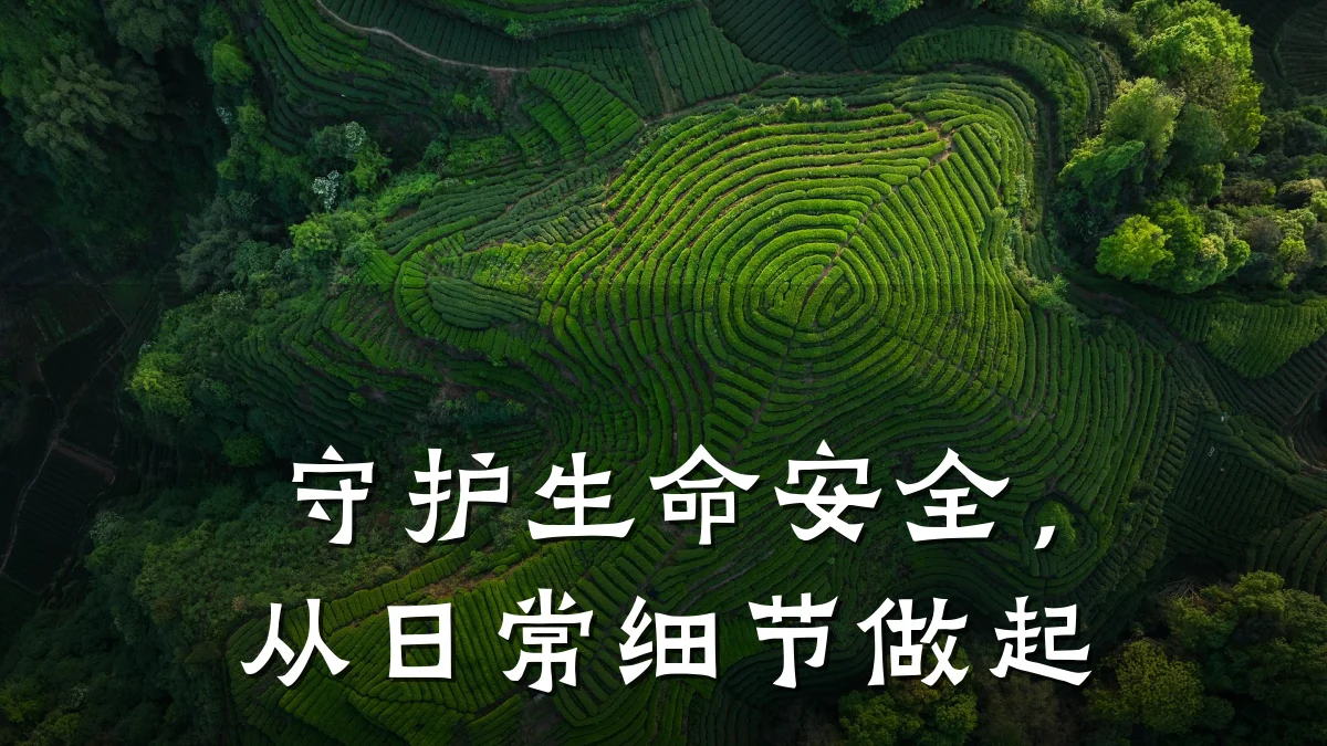 守护生命安全,从日常细节做起