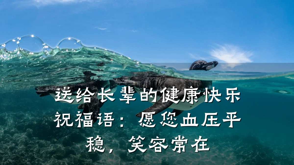 送给长辈的健康快乐祝福语:愿您血压平稳,笑容常在