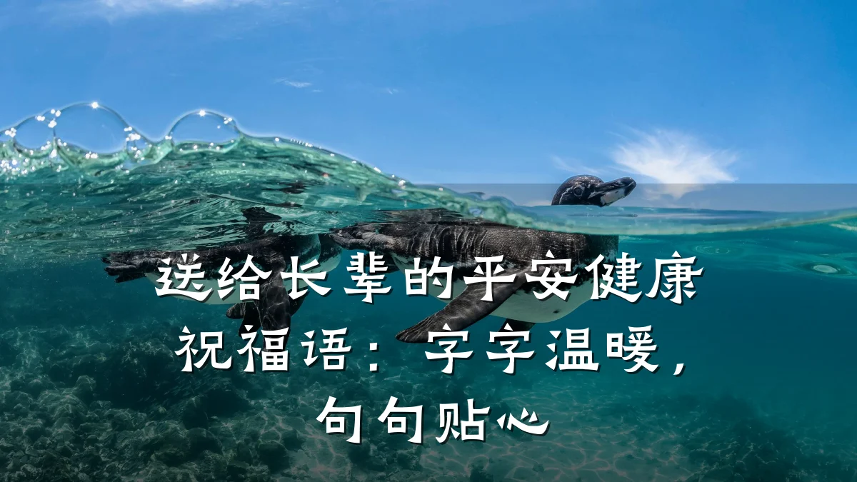 送给长辈的平安健康祝福语:字字温暖,句句贴心