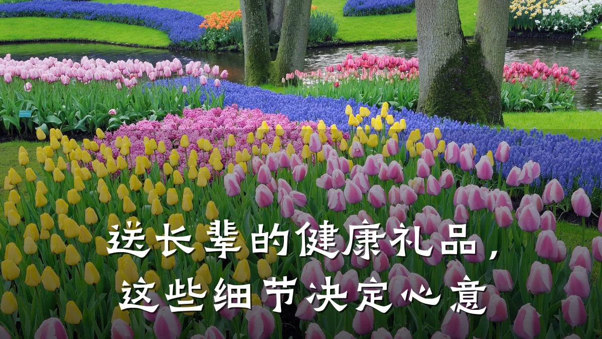 送长辈的健康礼品,这些细节决定心意