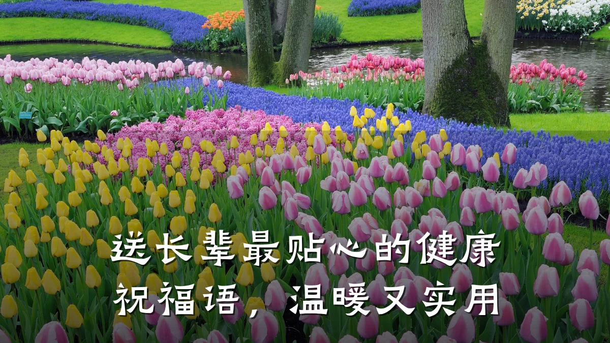 送长辈最贴心的健康祝福语,温暖又实用